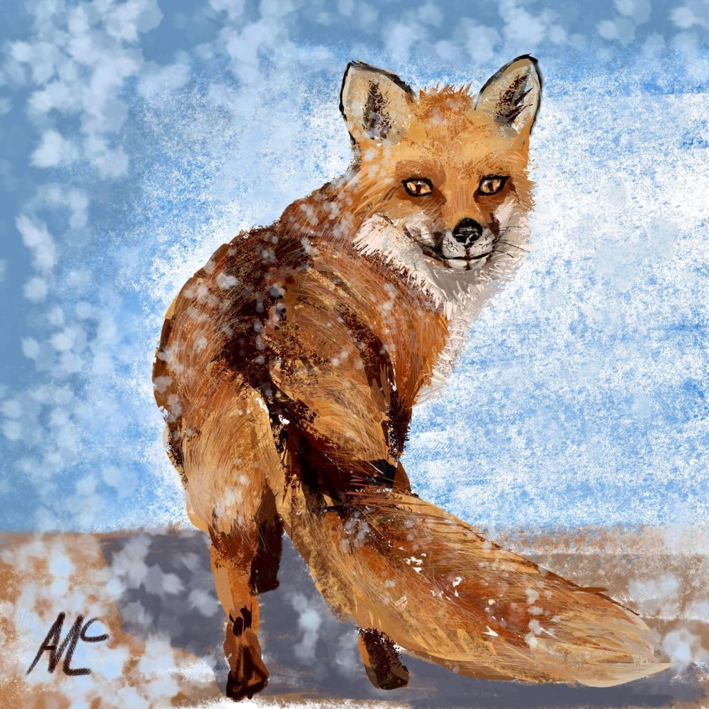 Agnes-McLaughlin-snow-fox-digital-art