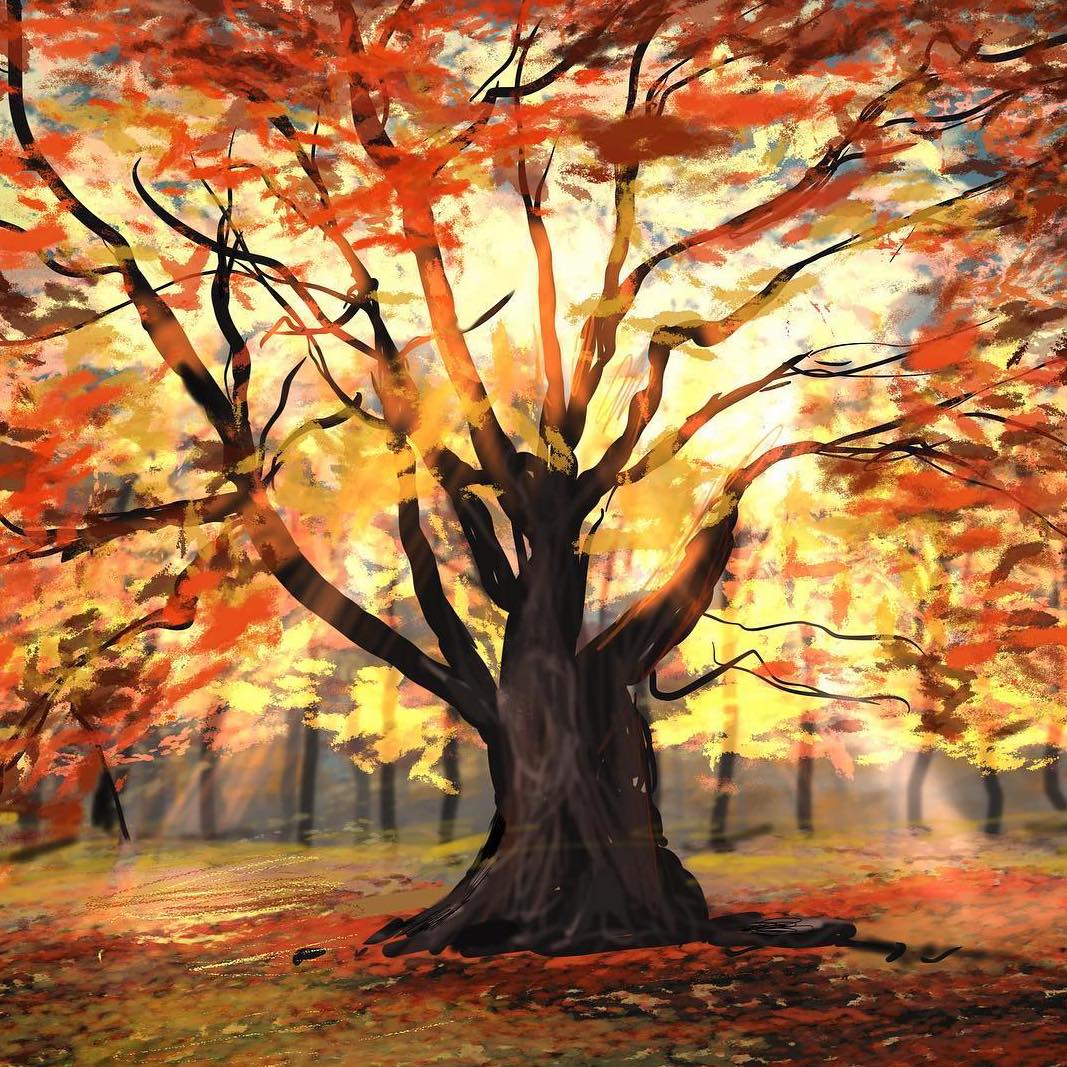 Agnes-Mclaughlin-autumn-leaves